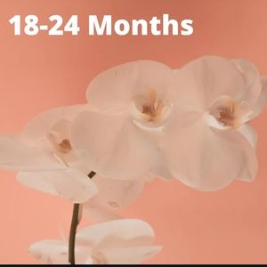 18-24 Month Clothing